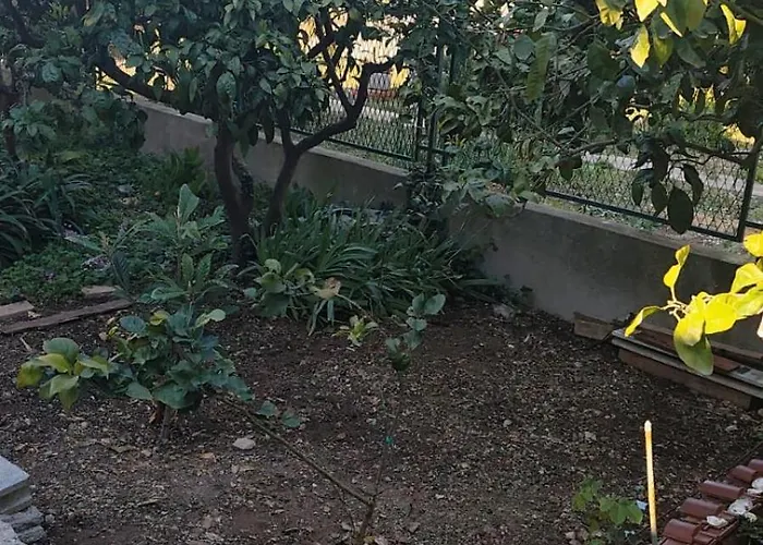 Apartament New Luxury Sandra- Old Town