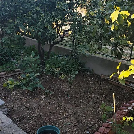 Appartamento New Luxury Sandra- Old Town